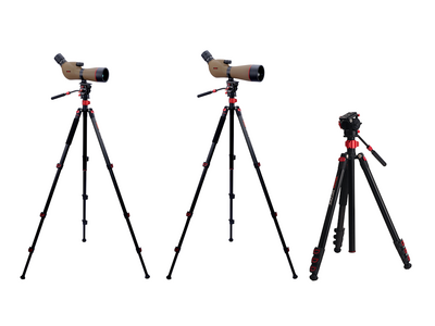 野鳥観察をさらに快適にフィールドスコープ「ジオマIII ED65 ZOOM M-174三脚セット」「ジオ...