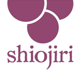 長野県塩尻市「ケアプランデータ連携活用促進事業」に採択 ～介護現場のDXと業務改善を支援～