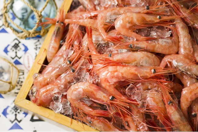 札幌大通・海鮮居酒屋うおっとの3号店「北海道海鮮 個室居酒屋 うおっと 魚人 札幌駅北口店」が2026年10月14日にNEW OPEN！