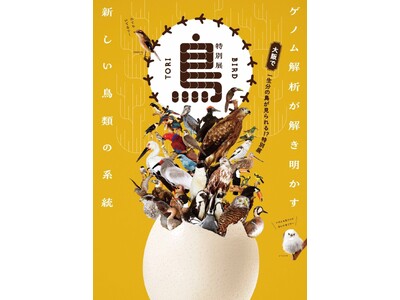 一生分の鳥が見られる!?400点以上の標本が集結する、圧巻の特別展「鳥 ～ゲノム解析が解き明かす新しい鳥...