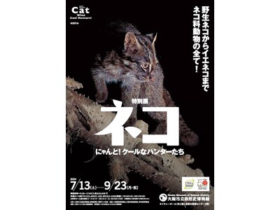 【期間限定早朝開館決定・グッズ情報】特別展「ネコ」～にゃんと！クールなハンターたち～