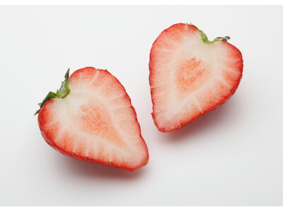 栃木県のブランドいちごを使った「とちぎのとちあいか スウィーツメニューフェア」30店舗で開催。提供期間2026年2月18日(水)～3月3日(火)