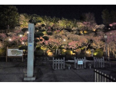 【東京・大田区】都内屈指の梅の名所「池上梅園」が期間限定でライトアップ!!