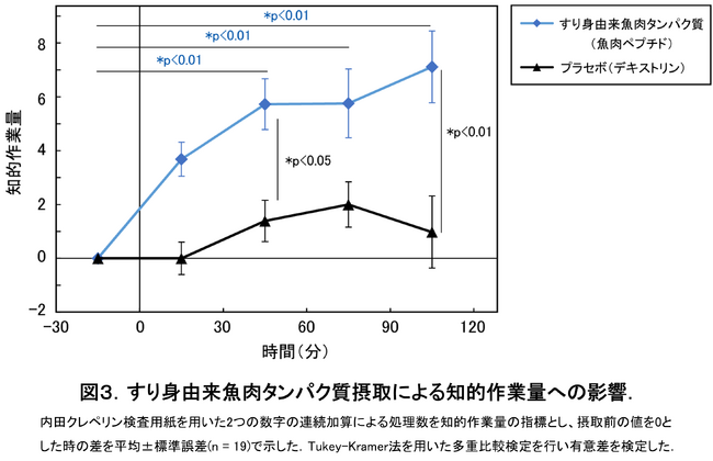 すり身由来魚肉タンパク質摂取による集中力および知的作業効率の向上を確認