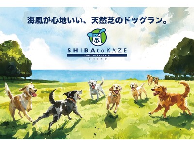 海風が心地いい、天然芝のドッグラン「SHIBA to KAZE Pacifico Dog Park」