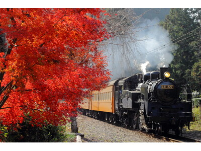 【大井川鐵道×くぼたび】XYZ世代40人と静岡県の”バズる超絶景”を鉄道とバスで巡る日帰りツアーを11月2日に実施