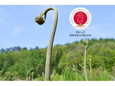 雪解けの恵み、日本初の山菜GI「西わらび」予約受付開始