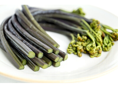 「プレミアム西わらび 醤油漬け」2025年版 発売