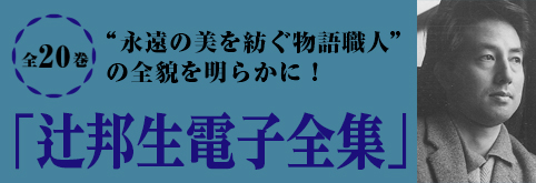 プレスリリース「生誕100周年企画！[辻邦生 電子全集] 配信開始!」のイメージ画像