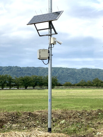 社会インフラを支える電源のパイオニア、東京電源株式会社が「舎人公園 千本桜まつり」で知られざる会社の魅力を発信！