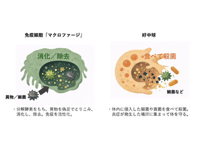 物価高で注目・交雑牛は和牛よりうまくなる！？　飼料で「おいしさ」変わる。調査結果を発表