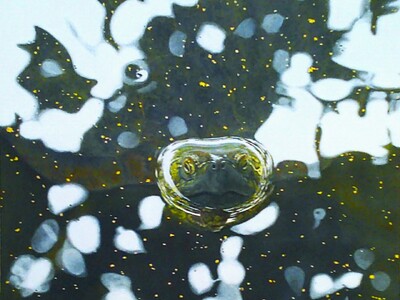 新進気鋭作家によるアート作品　2025年12月特設展示　アーティスト ・ 石田 晃氏の作品4点を本展にて展示