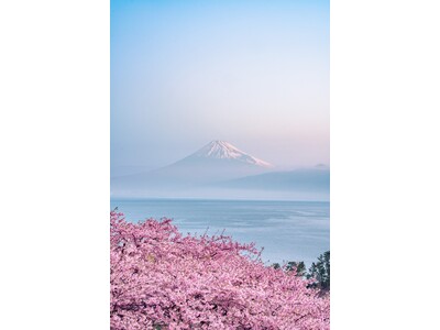 2026年4月特設展示Photographer Sho氏の作品を本展にて展示