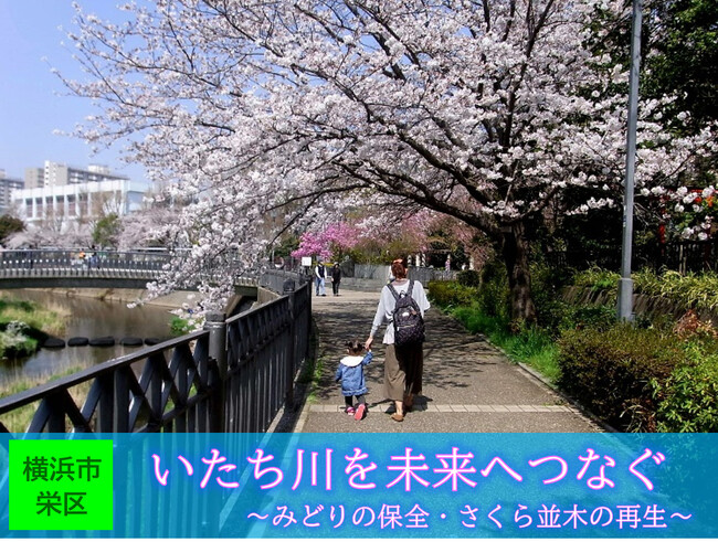 【横浜市】吉田兼好の歌にも詠まれた「いたち川」を未来へ！クラウドファンディング型ふるさと納税７月１日スタート