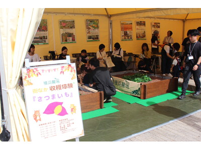 みなとみらいでお芋掘り！横浜おいも万博２０２５でさつまいもの収穫体験を10/18（土）19（日）で開催！