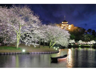 横浜・三溪園　「桜ライトアップ」開催