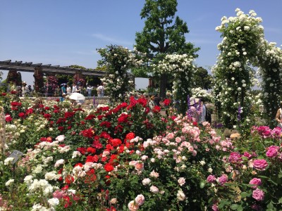 今年も横浜が花と緑であふれる！～ガーデンネックレス横浜2018～