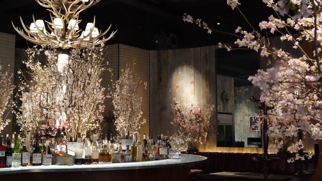 【The Station Bar Mixology】期間限定！店内が満開の桜に包まれる圧巻の6日間！一足お先にお花見ができる特別イベントを3月14日～19日開催。イベント限定の桜カクテル3種も登場