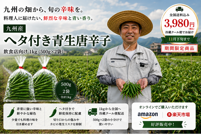 【9月～11月限定】九州産 生とうがらし「ヘタ付き赤・青生唐辛子」各1kgを飲食店様・食品加工事業者様向けに販売