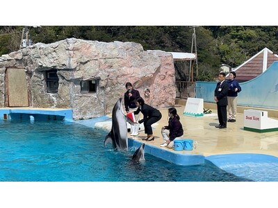 【下田海中水族館】入社式～イルカたちが新入社員を歓迎～ 2026年4月1日（水）