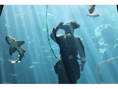【下田海中水族館】第87回下田黒船祭を盛り上げるぞ！！“ペリー提督による魚の餌付けショー”2026年4月...
