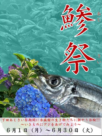 【下田海中水族館】水族館の鯵祭（あじさい）開催！？生き物たちへのアジの餌やり体験キャンペーン　2026年6月1日（月）～6月30日（火）