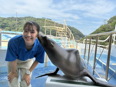 【下田海中水族館】毎年恒例！？ 9月9日は「クゥの日」～カリフォルニアアシカから熱いキス～
