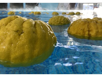 第4弾『箱根小涌園ユネッサン』｜『ゴジラ-1.0』冬至にゴジラ級の「獅子ゆず風呂」登場！～日本の伝統文化で「風邪に、抗え」～