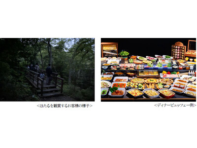 箱根小涌園で楽しむ初夏の風物詩　箱根小涌園 蓬莱園にて“ほたる”の飛翔を確認 ～ほたる観賞ツアーやほたる...