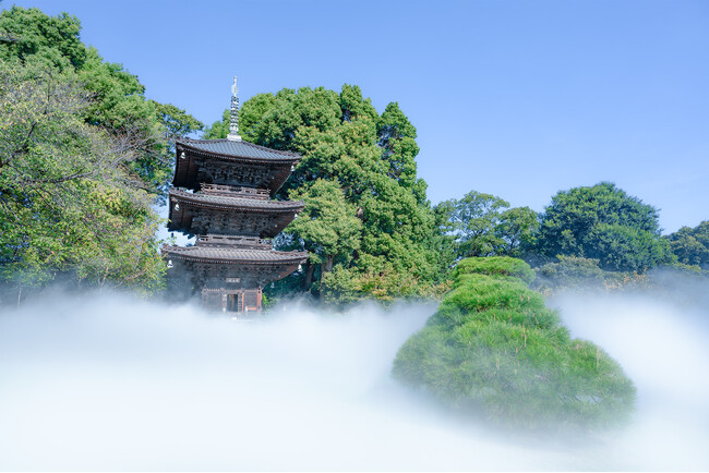 【ホテル椿山荘東京】「東京雲海」が進化。庭園一面が奇跡の絶景に！移築100周年を迎える国指定登録有形文化財「三重塔」「天空の三重塔(パゴダ)」を1月8日（水）より公開