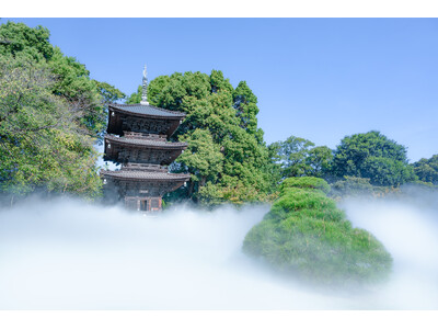 【ホテル椿山荘東京】「東京雲海」が進化。庭園一面が奇跡の絶景に！移築100周年を迎える国指定登録有形文化財「三重塔」「天空の三重塔(パゴダ)」を1月8日（水）より公開