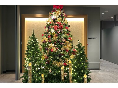 【WHG新宿（新宿ワシントンホテル／ホテルグレイスリー新宿）】植林活動に貢献「クリスマスチャリティーオー...