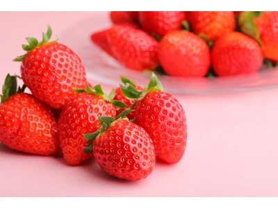 【ホテルグレイスリー札幌】甘く華やぐ苺と冬の彩りランチ＆スイーツビュッフェ