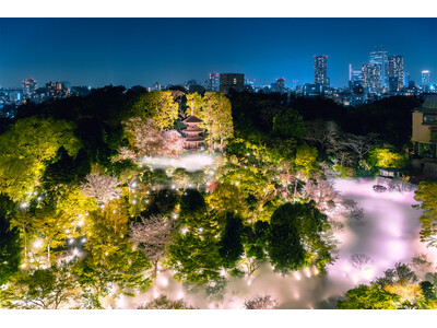 【ホテル椿山荘東京】桜とシャンパンが彩る、春限定のラグジュアリーなピクニック「Twilight Saku...