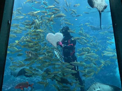 バレンタインデー・ホワイトデー特別企画　～Valentine of Underwater～