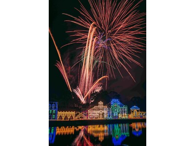 ☆鹿児島イルミナージュ☆　3連休　2月10、11、12日は幻想の灯りと花火競演　ロマンティックな雰囲気楽しんで