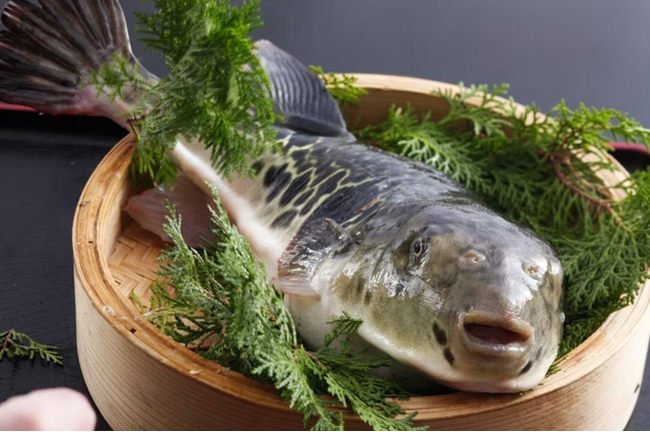 【お部屋でゆったり】京都で味わうふぐ料理 心も体も温まる ぷりぷりてっさとふぐ鍋、揚げ物を満喫するふぐ会席プランを予約開始 京都旅館「天橋立荘」