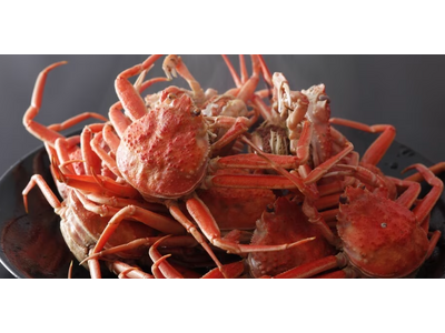 【期間限定】お一人様のご利用もＯＫ！「割烹たんご」で堪能する オス活蟹と希少なメスのセコガニを味わう夫婦蟹コース 2025年度受付を開始