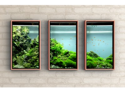 サンゴや色鮮やかな魚たちが泳ぐアクアリウムの世界を、窓型スマートディスプレイAtmoph Window 2に追加。チャームが、3メートル水槽で独自に生み出す水生植物たちの小宇宙を、お部屋で楽しめます。