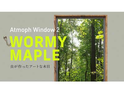 スマート窓Atmoph Window 2に、カリモク家具とコラボで虫食い木材をアップサイクルした「ワーミーメープル」モデルが登場！Makuakeでクラウドファンディング開始