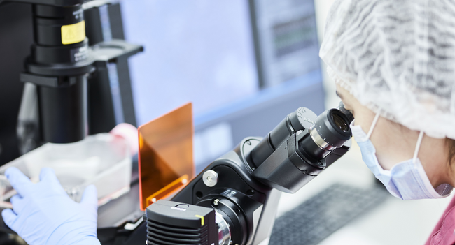 幹細胞コスメ、室温保管3か月で一部タンパク質が約40分の１減少