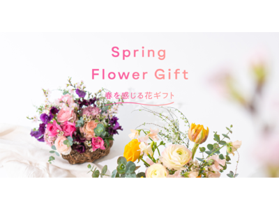 HitoHana(ひとはな)が春を感じる花ギフトを販売。ラナンキュラスなど、春の花材をたっぷりと使用した花束&アレンジメント