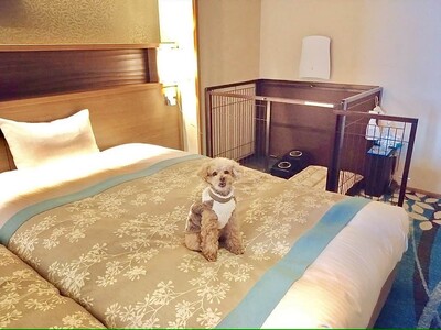 【2024年3月1日～】高意識愛犬家会員組織を構築・運営する株式会社トラベルウィズドッグが、木更津ホテル...