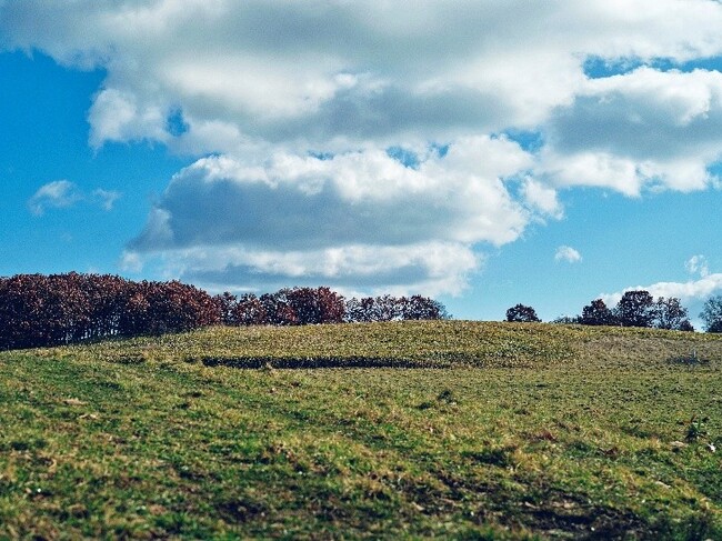 農業事業に新規参入 「日鉄興和不動産農業株式会社」を設立