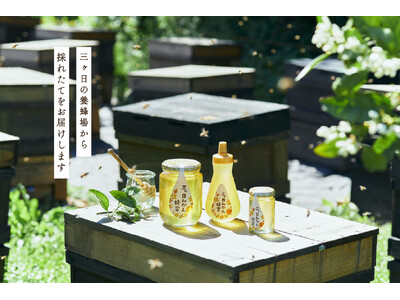「朝採れ生はちみつ、そのまま瓶へ」長坂養蜂場、鮮度0日！2026年新蜜「三ヶ日みかん蜂蜜」販売へ