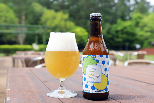 プレスリリース「【富士桜高原麦酒】×【FCふじざくら山梨】コラボ限定ビール第3弾『サクラノトリコ奏（かなで）』5月15日（金）発売開始!!　シャインマスカットと湘南ゴールドを使った夏向けの爽やかなフルーツヴァイツェン！」のイメージ画像