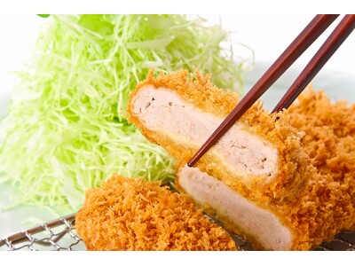 お値段そのまま！特製ヒレかつ増量キャンペーン実施