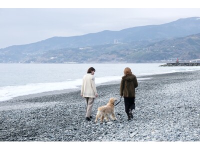 いぬと泊まれる貸切宿「いぬと海辺」2024年3月にオープン！（神奈川県小田原市）