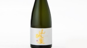 【新潟県長岡市】長岡の魅力を「ふるさと納税」で全国へ！こだわりの逸品を追加