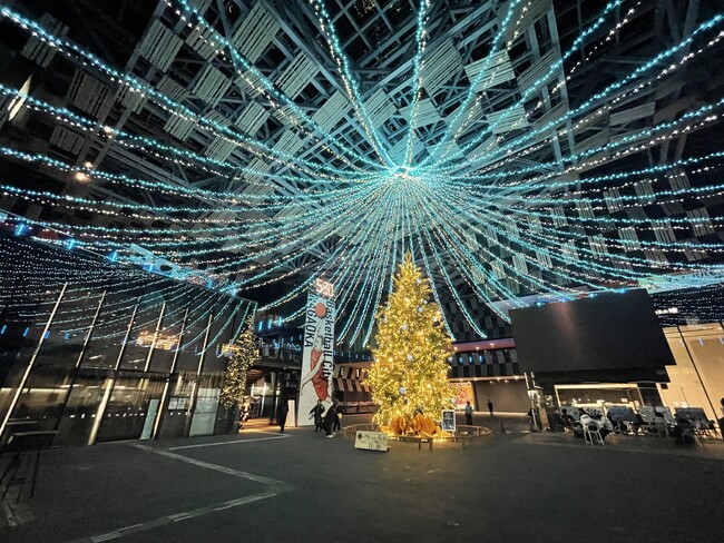 【新潟県長岡市】夜がきらめく特別な季節 Aollumination2025-2026　11月14日(金)から開催